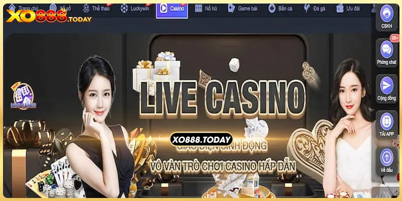 Chơi casino có thể giàu nếu bạn biết hướng đi