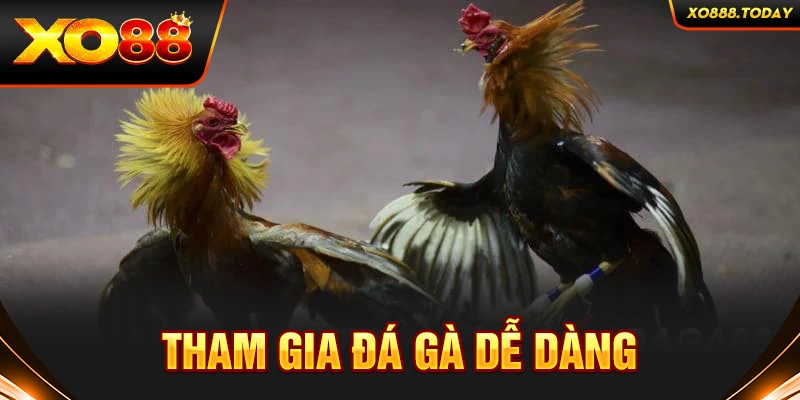 Tham gia Dag88 dễ dàng