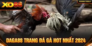 Daga88 trang đá gà hot nhất 2024