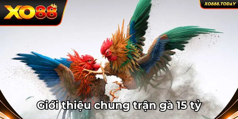 Giới thiệu chung trận gà 15 tỷ